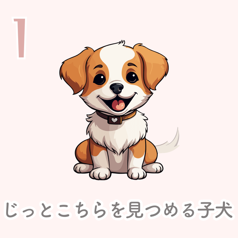 いぬ