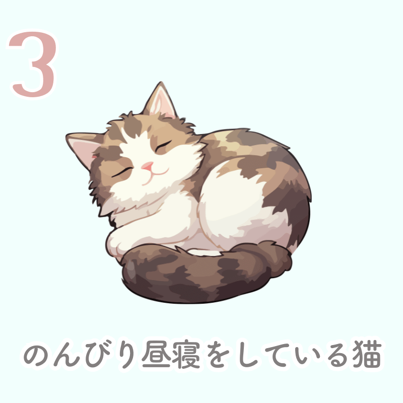 ねこ