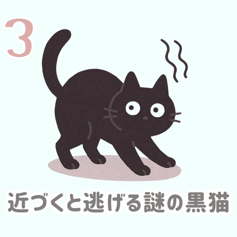 【画像の説明】
